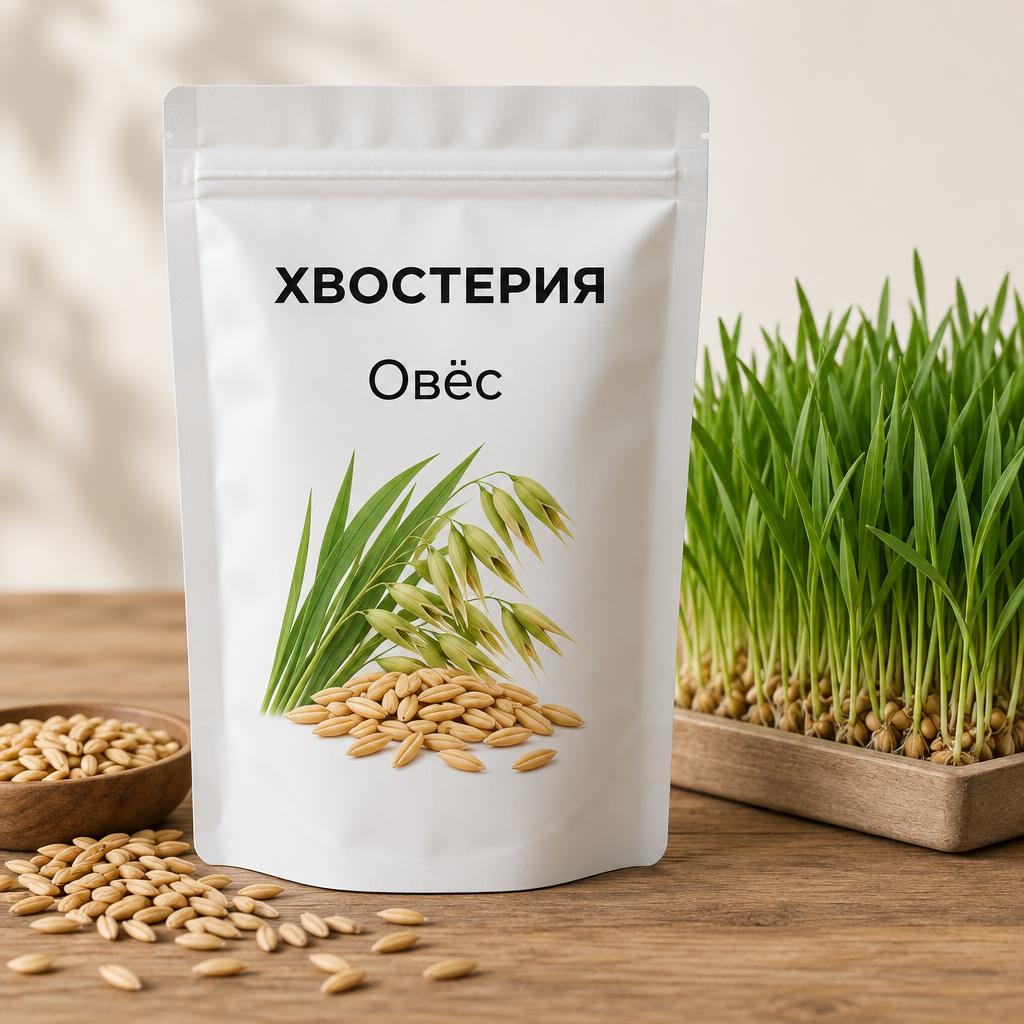 Белая упаковка семян овса Хвостерия и поднос свежей микрозелени овса